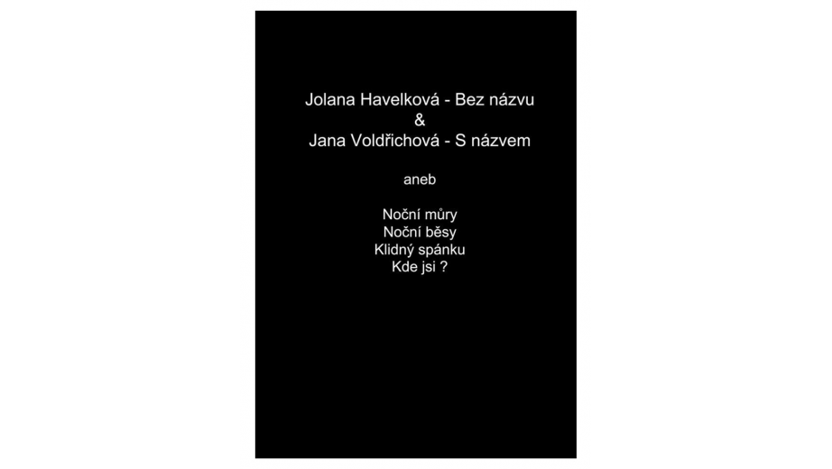 2013 Vyšito pro koncept.výstavu fotografky J.Havelkové
